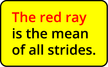 The red ray is the mean of all strides  