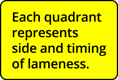 Each quadrant represents side and timing of lameness 