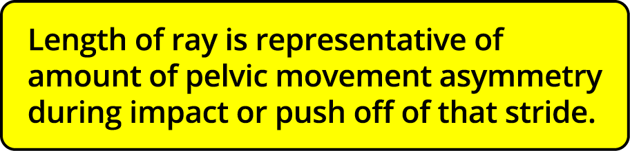 Length of ray is representative of amount of pelvic movement asymmetry during impact or push off of that stride 