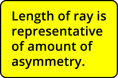 Length of ray is representative of amount of asymmetry  