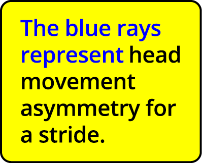 The blue rays represent head movement asymmetry for a stride  