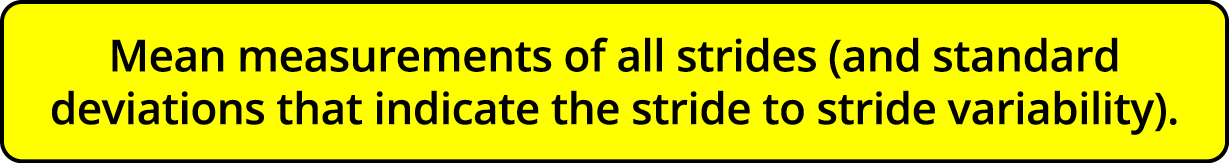 Mean measurements of all strides (and standard deviations that indicate the stride to stride variability)  
