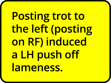 Posting trot to the left (posting on RF) induced a LH push off lameness  