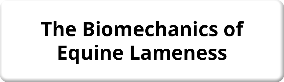 The Biomechanics of Equine Lameness