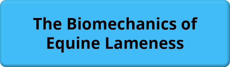 The Biomechanics of Equine Lameness